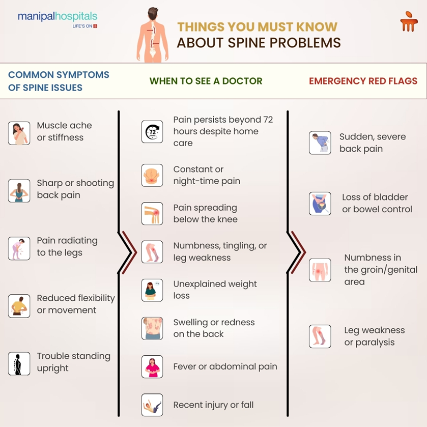 Comprehensive Guide to Spine Health: Warning Signs, Causes & Medical Care