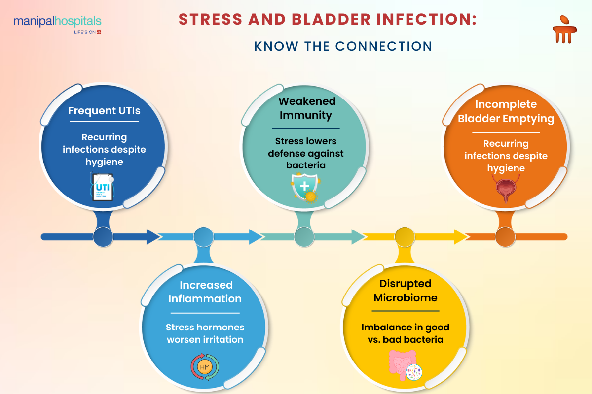 visualizing the connection between stress and urinary tract infections