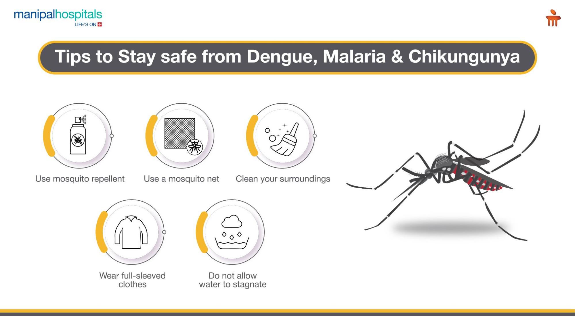 Tips to stay safe from dengue, malaria and chikungunya