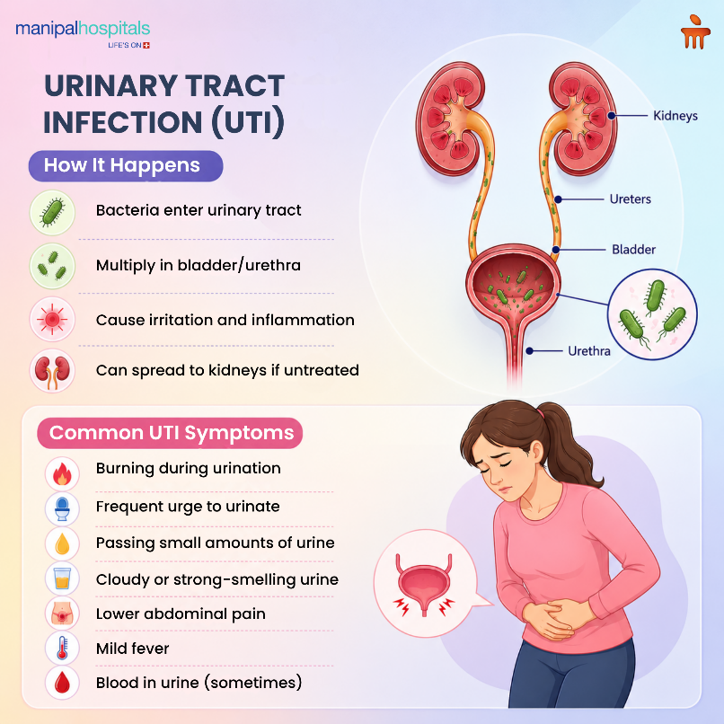 uti-symptoms-causes-prevention