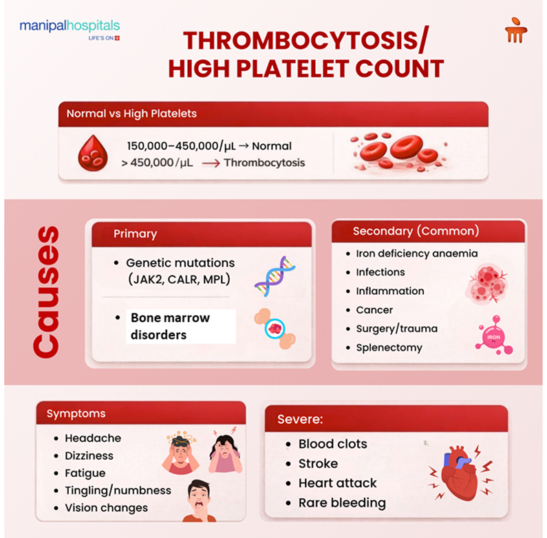 Thrombocytosis symptoms causes and treatment