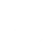 Congenital Anomalies: Causes & Treatment