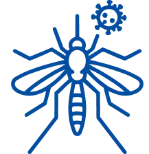 Best Hospital for Dengue Treatment in Bangalore | Manipal Hospitals