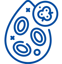 Leukemia: Symptoms, Causes & Treatment | Manipal Hospitals