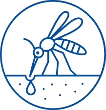 Malaria Treatment in Pune | Manipal Hospitals