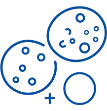Thalassemia