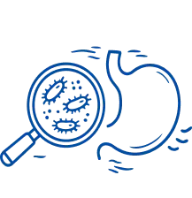 Typhoid
