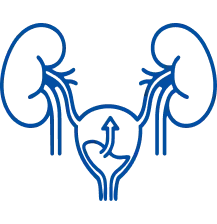 Vesicoureteral Reflux: Symptoms & Treatment