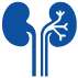 kidney disease treatment