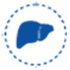 liver transplantation surgery liver transplantation surgery