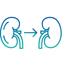 Kidney Transplant in Bangalore | Manipal Hospitals