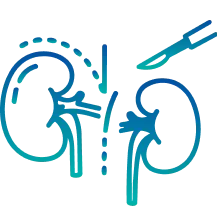 Kidney Transplant in Bangalore | Manipal Hospitals
