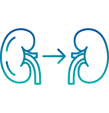 Living Donor Kidney Transplant in India | Manipal Hospitals