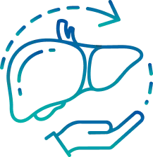 Orthotopic Liver Transplant in India | Manipal Hospitals