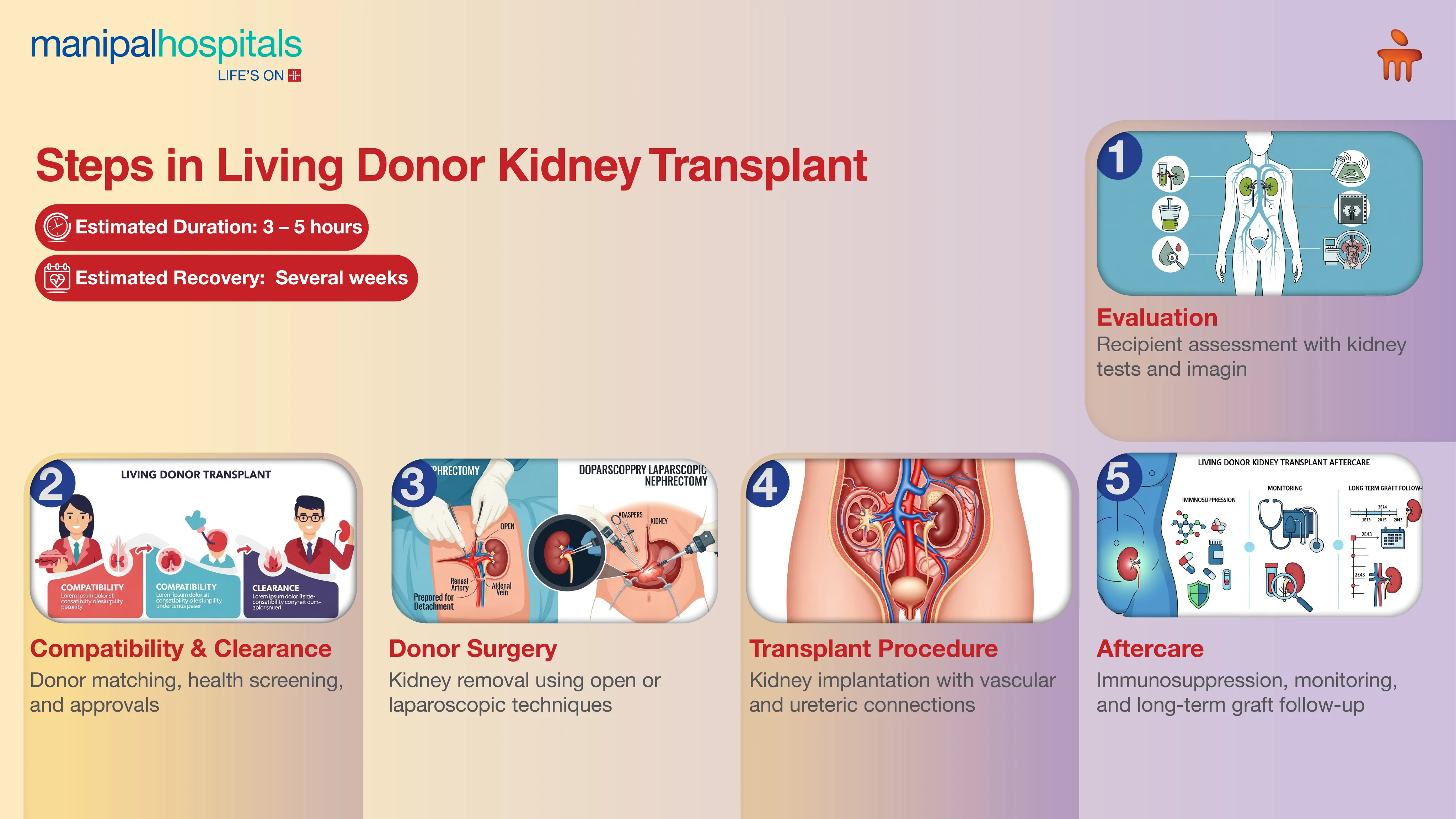 Living Donor Kidney Transplant in India | Manipal Hospitals